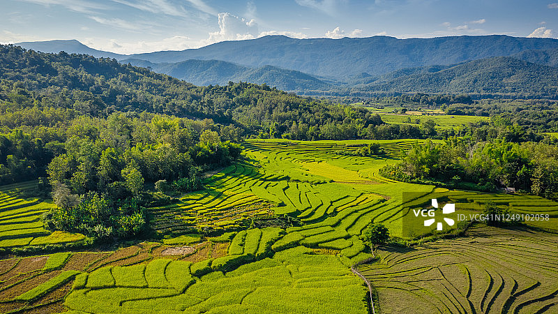 老挝琅勃拉邦稻田全景景观图片素材