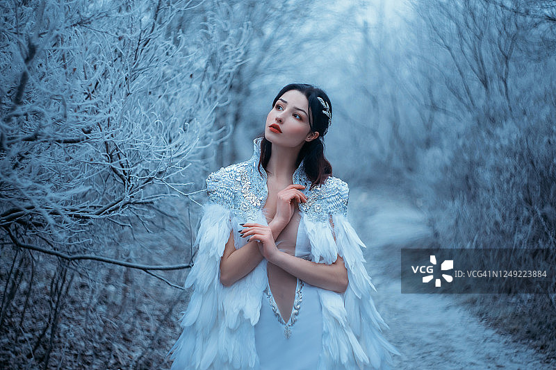 白雪皇后。梦幻斗篷，白色羽毛。创意服装时尚模特美丽的脸蛋。精灵披风，公主在冬天的森林里，树在白霜里，雪里。银头饰戒指图片素材