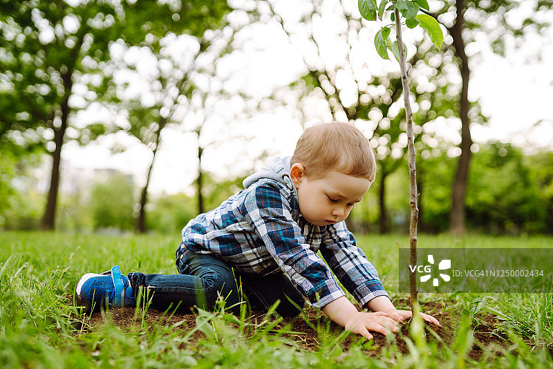 孩子种小树。图片素材