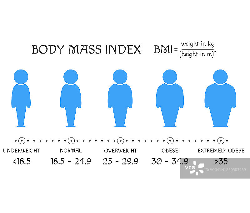 体重指数的概念。体型从偏瘦到极度肥胖图片素材