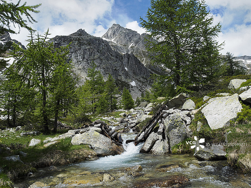 在Alpe di Valdeserta山溪上倒塌的木桥图片素材