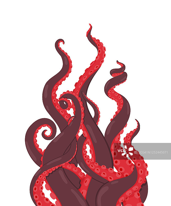 章鱼。红色的章鱼触手向上伸展。海怪或乌贼的矢量插图。卡通水下海洋动物图片素材