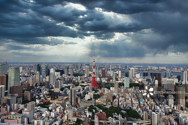 日本东京美丽的城市景观图片素材