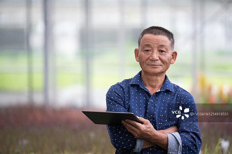 老人站在绿色植物田里使用数字平板电脑图片素材