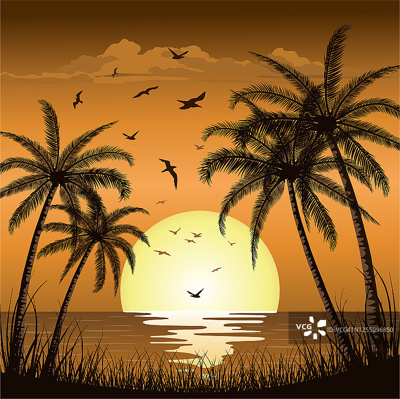日落日出与海滩棕榈树的海洋岛图片素材