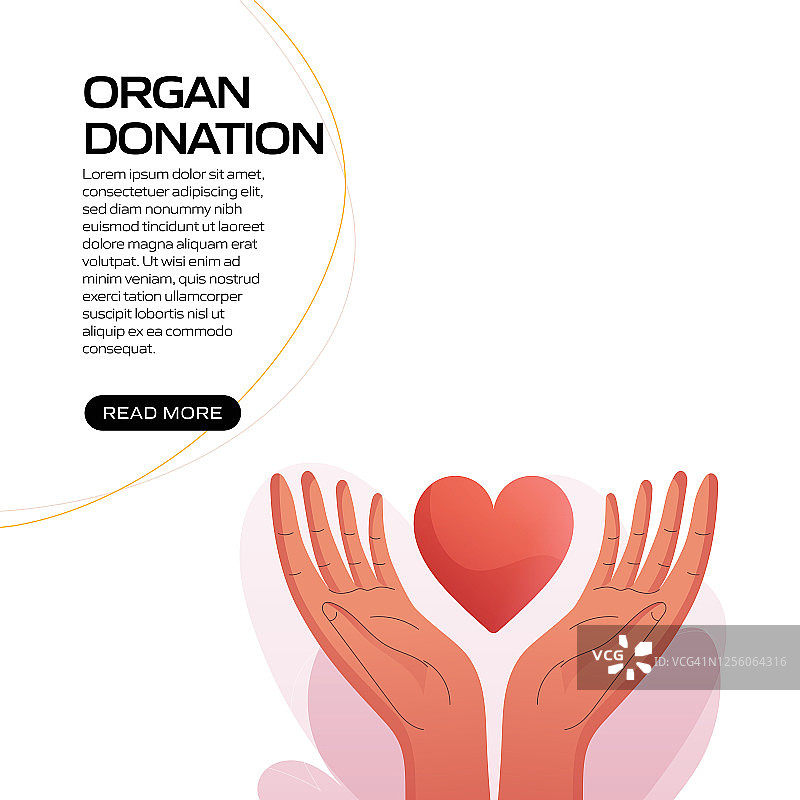 器官捐献概念矢量插图网站横幅，广告和营销材料，在线广告，商业展示等。图片素材