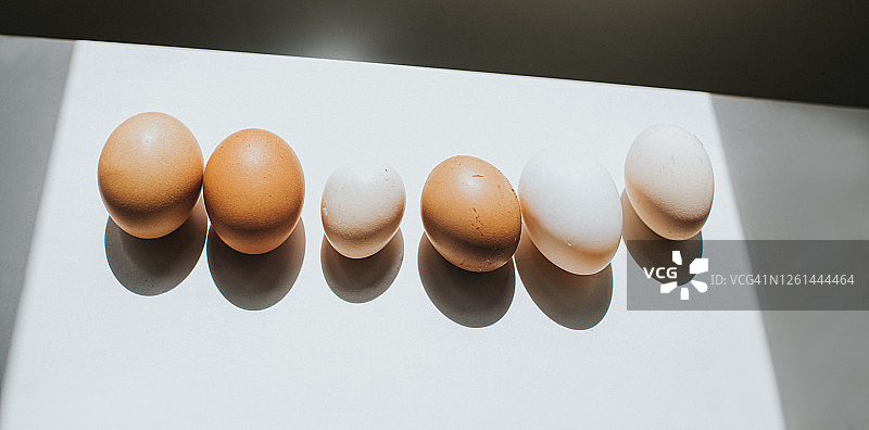 各种鸡蛋排成一排，在白色的表面投下阴影图片素材