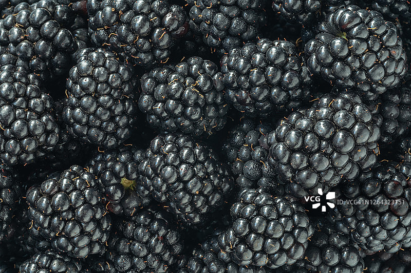 食品的背景。黑莓的特写。微距镜头。图片素材