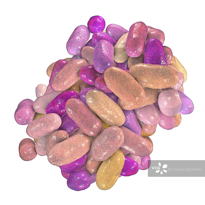 牙龈卟啉单胞菌口腔细菌，插图图片素材