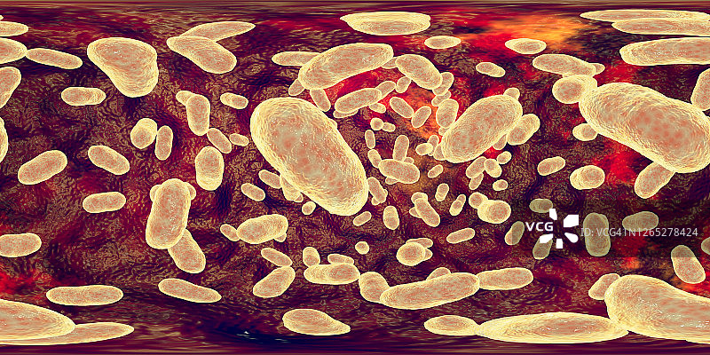 牙龈卟啉单胞菌口腔细菌，插图图片素材