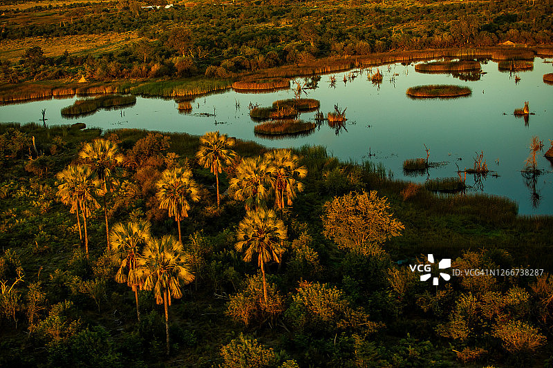 博茨瓦纳奥卡万戈三角洲水坑和棕榈树的鸟瞰景观图片素材