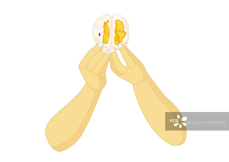 奶油人手馒头，中式点心和中餐在白色背景矢量插图图片素材