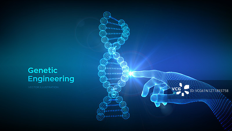 手触摸DNA序列分子结构网。线框DNA代码可编辑模板。基因工程。医学研究。科学技术概念。矢量插图。图片素材