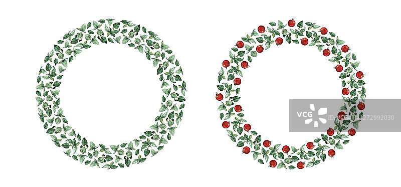 两个圆形框架红色的樱桃番茄和绿色的罗勒树枝和叶子，孤立在白色。水彩画插图。图片素材