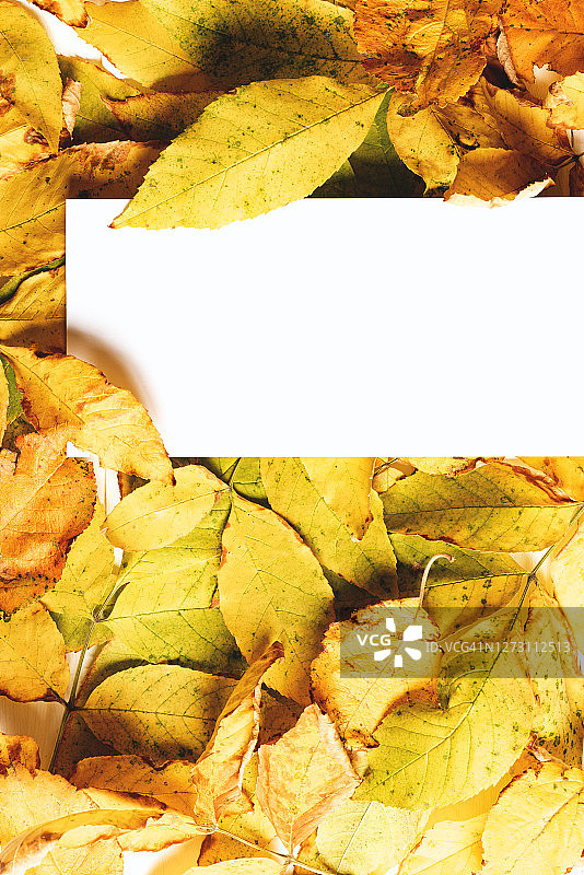 背景与秋叶和白色的自由空间的文字图片素材