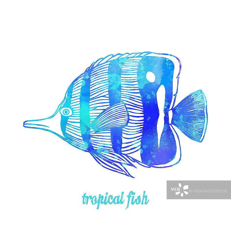 水彩多色热带鱼孤立。手工绘制剪贴艺术设计元素标签，名片，传单。图片素材