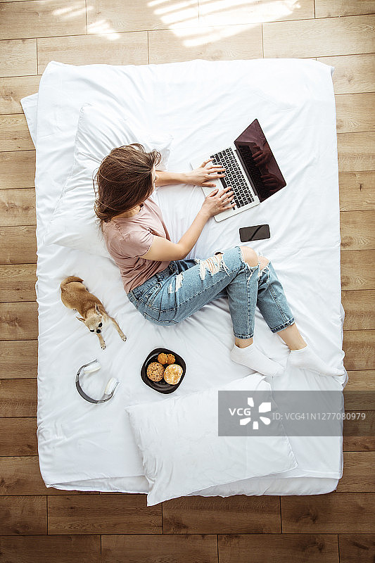 全长度俯视图照片的一个年轻的黑发女人在休闲衣服，而她在床上用笔记本电脑工作。快乐女孩在家和狗一起学习图片素材
