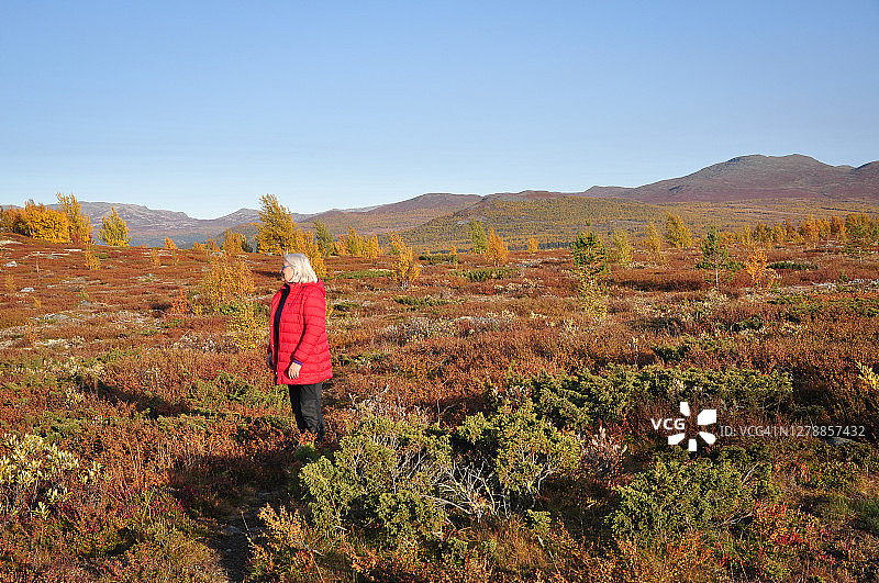 穿着红色夹克的女人站在挪威秋色的群山中。天气很好，天空很蓝。图片素材