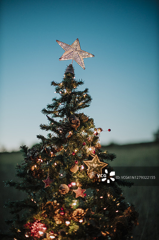 圣诞树的特写与星星形状的顶在黄昏晴朗的天空图片素材