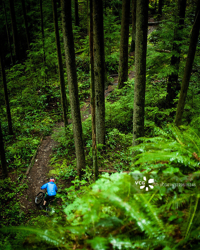 在雨天，山地自行车手穿过茂密的森林图片素材