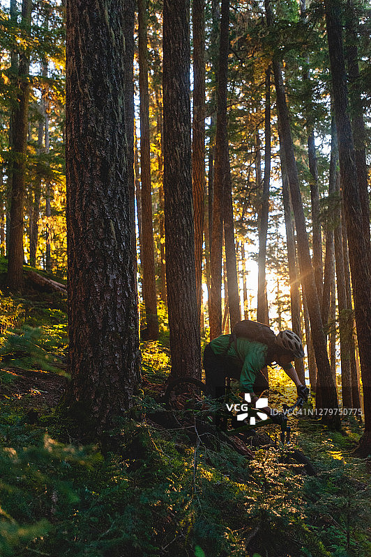 一个山地自行车手在日出时穿过森林的高架视角图片素材