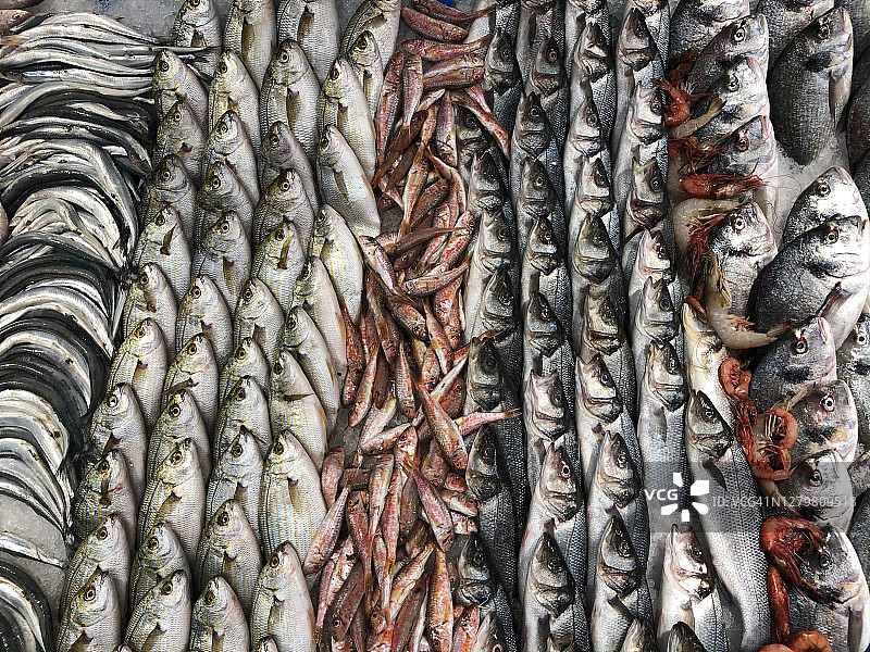 市场上的鱼被分类和装饰图片素材