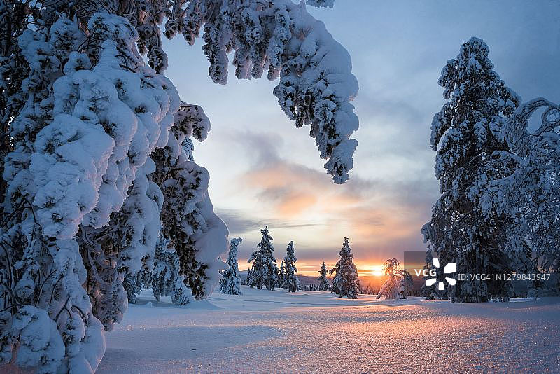 拉普兰pallas - yllastupturi国家公园，芬兰，美丽的冬季仙境景观，白雪覆盖的树木和戏剧性的日落图片素材