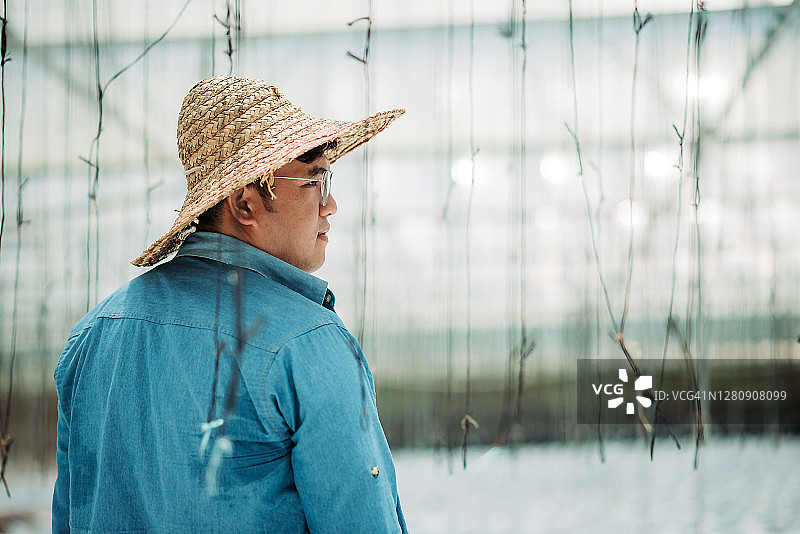 亚洲华人男性农场主站在温室里的肖像图片素材