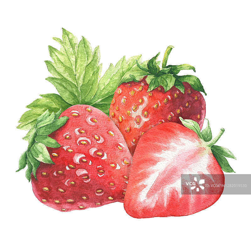 手绘水彩草莓串绿色的叶子，美味的食物艺术孤立在白色的背景。图片素材