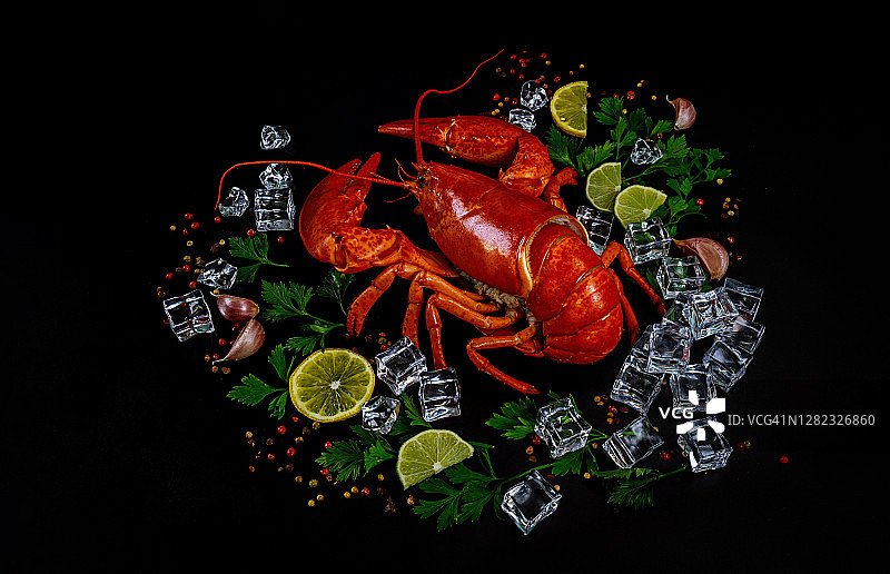 用柠檬，欧芹和冰块煮整只龙虾，在黑色背景上。图片素材