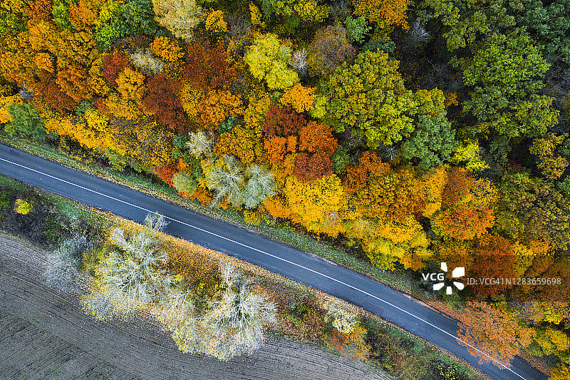 鸟瞰图的道路在秋天的森林图片素材