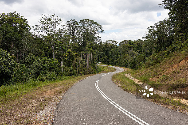穿越荒野的空旷道路，沙巴州，婆罗洲，马来西亚图片素材