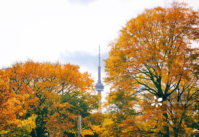 色彩缤纷的大自然:城市的秋天之美图片素材