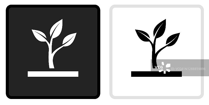 正在生长的植物图标上的黑色按钮与白色翻转图片素材