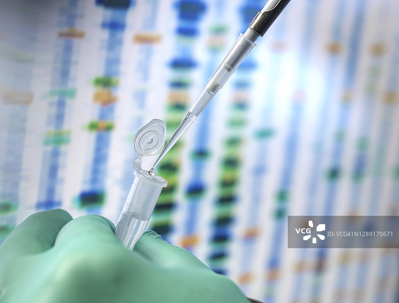 DNA科学，科学家将样本移液到小瓶中，准备在年龄实验室自动分析，屏幕上显示DNA结果图片素材