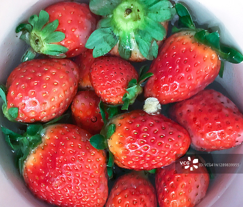 新鲜有机草莓的图片图片素材