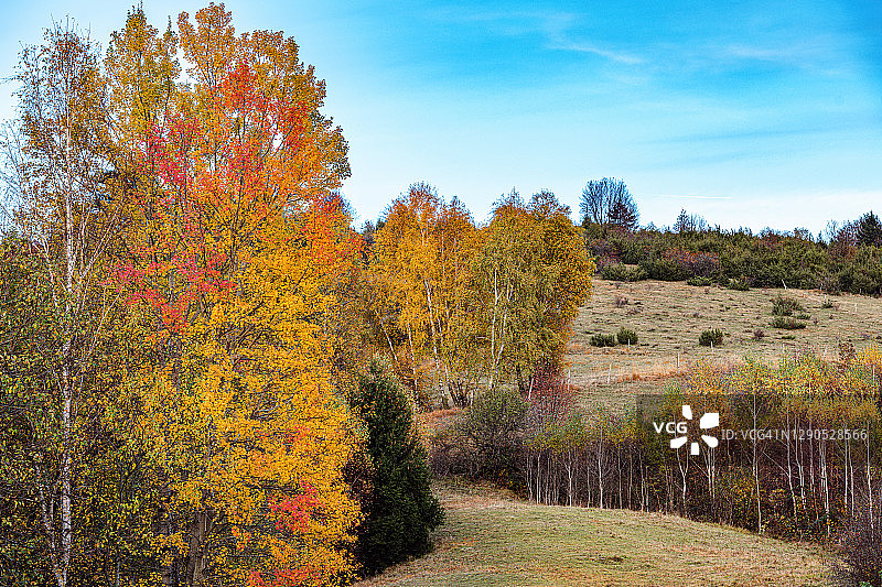 欧洲斯洛维尼亚的Primorska高原上的秋天图片素材