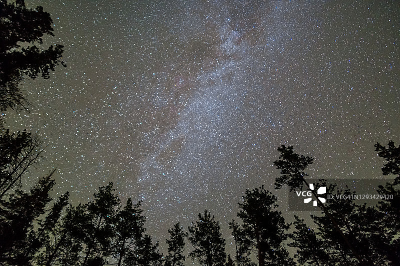 夜森林和星空图片素材