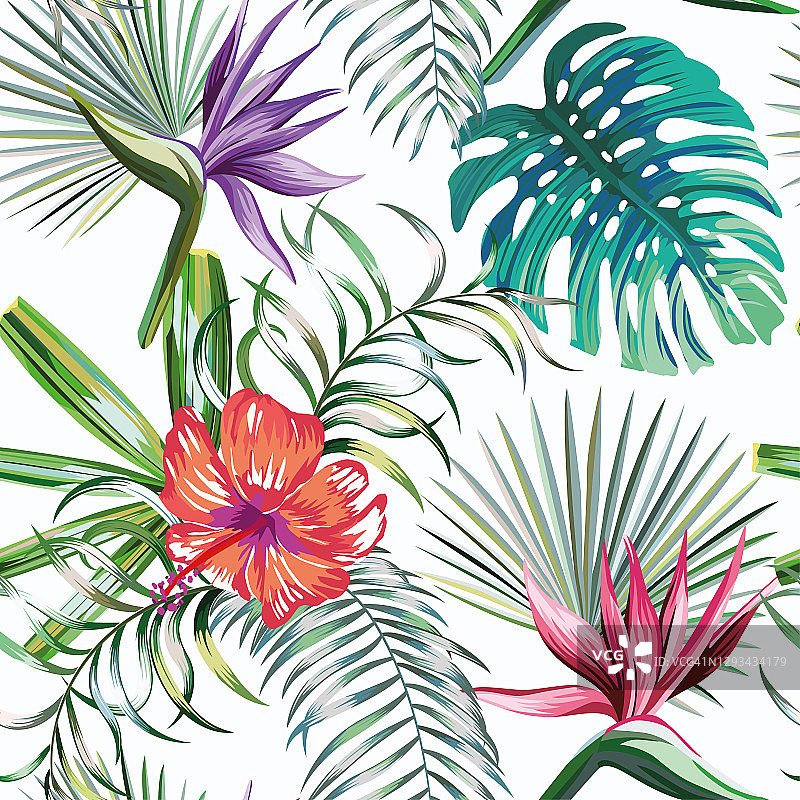 异国情调的热带植物和花卉无缝白色背景图片素材