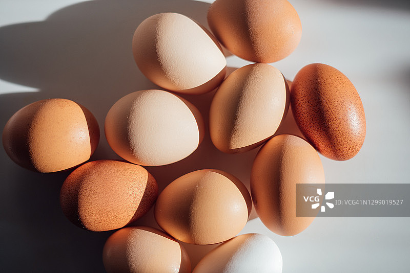 各种类型，颜色和阴影的鸡蛋，投射阴影在一个干净的白色表面。概念性的，有复制空间。图片素材