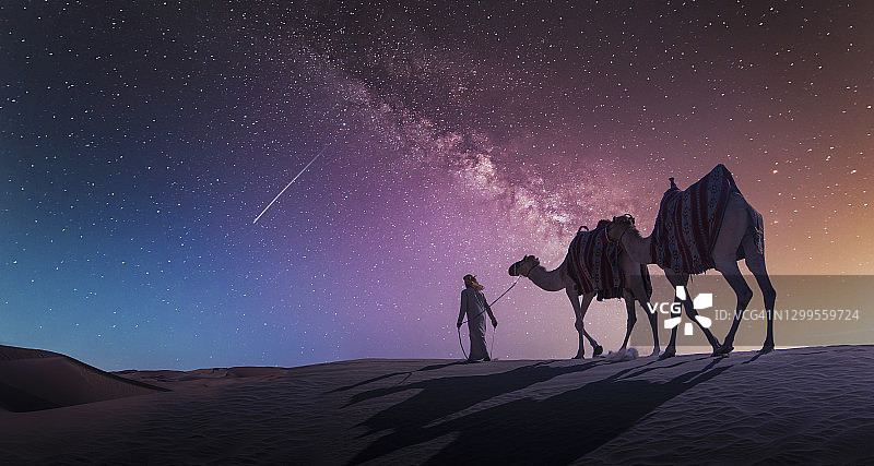 晚上的骆驼商队图片素材