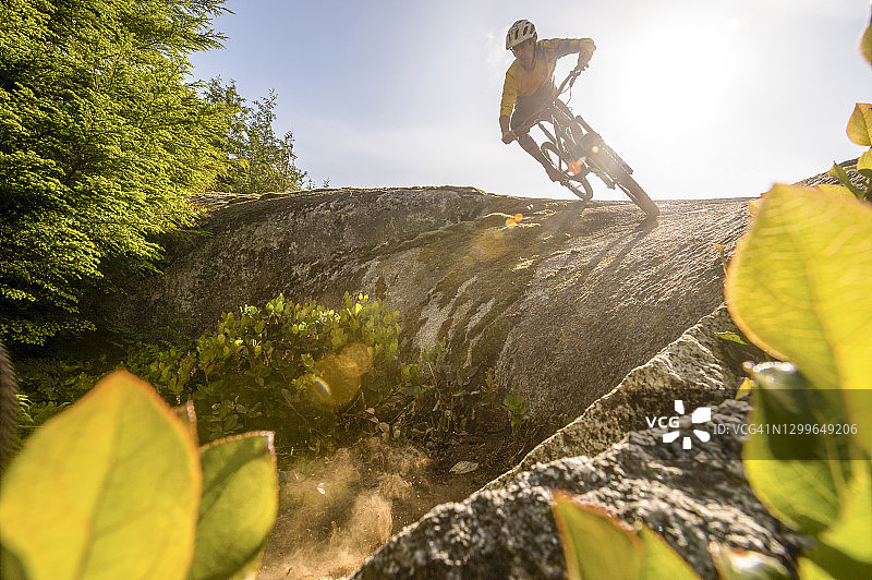 山地自行车下山陡峭的岩石板，在深森林环境图片素材