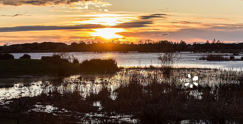 在Doñana国家公园的日落沼泽图片素材