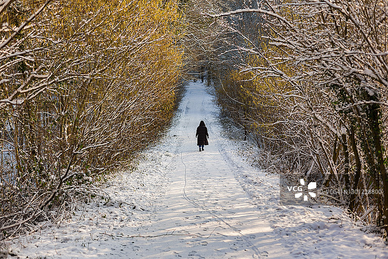 一个女人走在被雪覆盖的森林的小路上图片素材