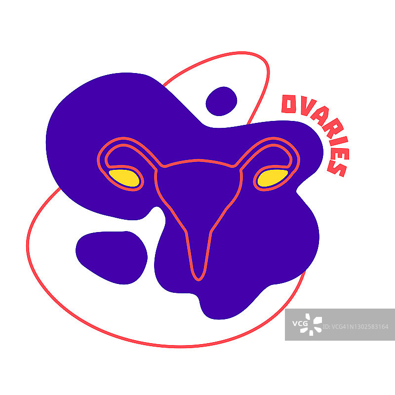 卵巢内分泌和女性生殖系统身体器官轮廓图标图片素材