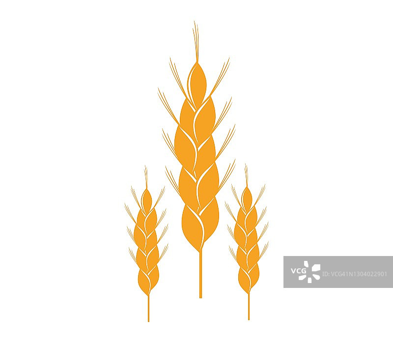 农业小麦图标矢量插图设计模板图片素材