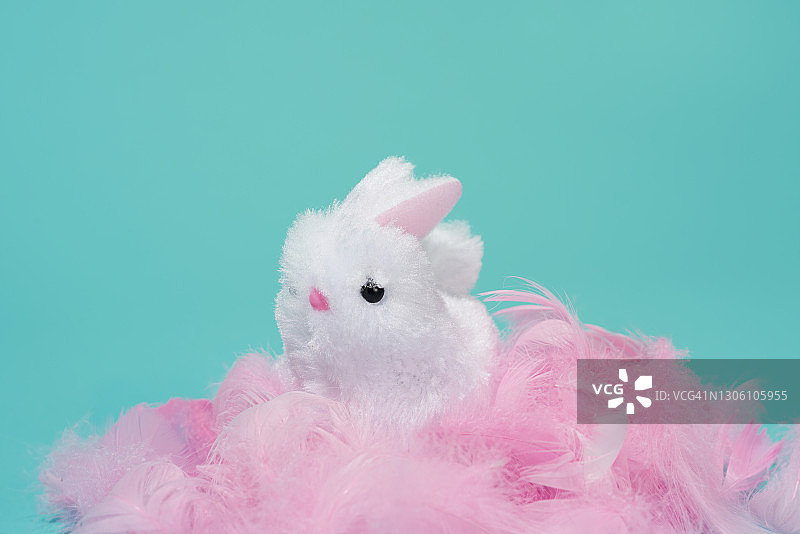 长着粉色羽毛的白色复活节兔子图片素材
