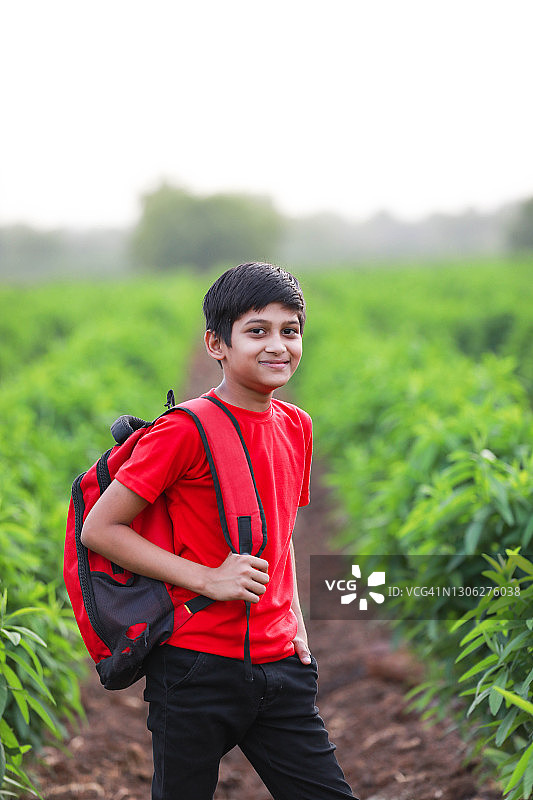 可爱的印度孩子与袋在农田图片素材