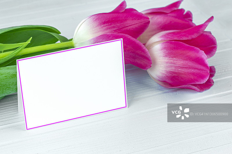 新鲜的春天郁金香花作为节日贺卡设计在蓝色木制背景与名片图片素材