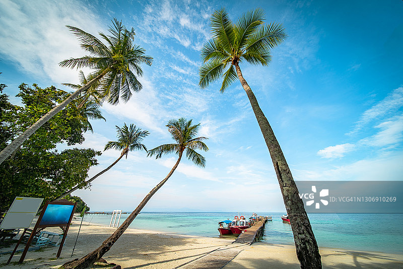 海边的椰子树，蓝天和木制的防波堤图片素材